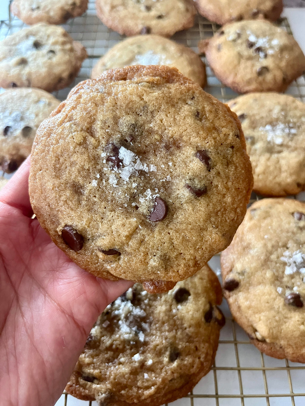 Brown Butter Chocolate Chip Cookie