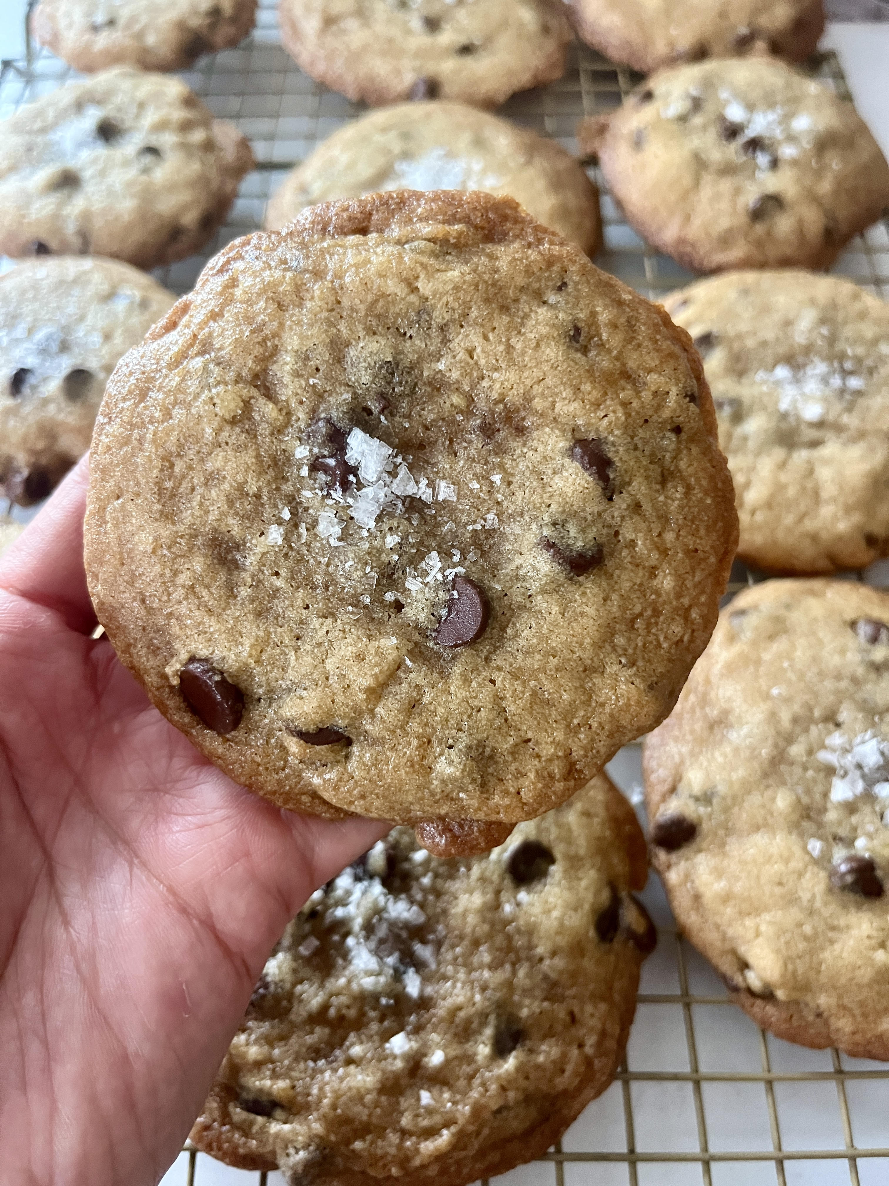 Brown Butter Chocolate Chip Cookie
