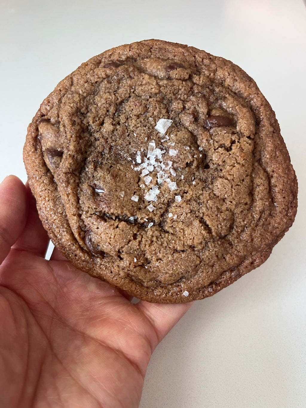 Double Chocolate Chip Cookie