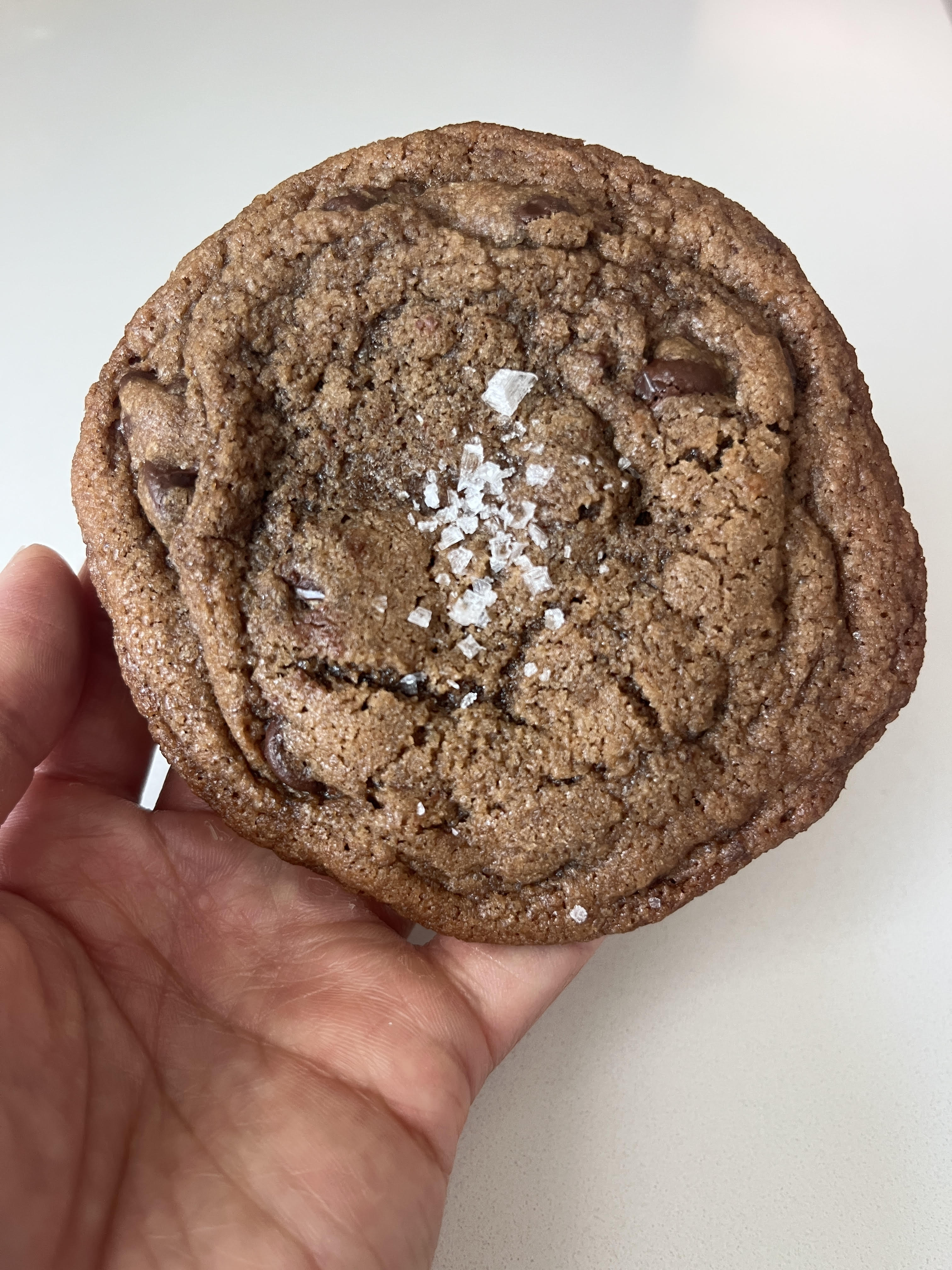 Double Chocolate Chip Cookie