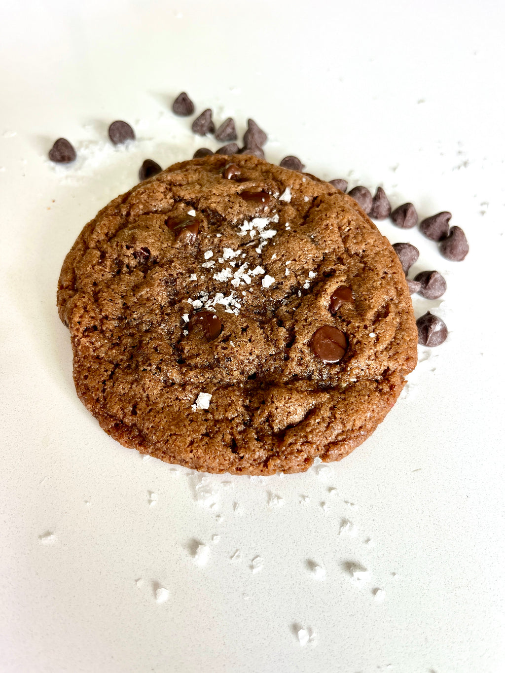Double Chocolate Chip Cookie