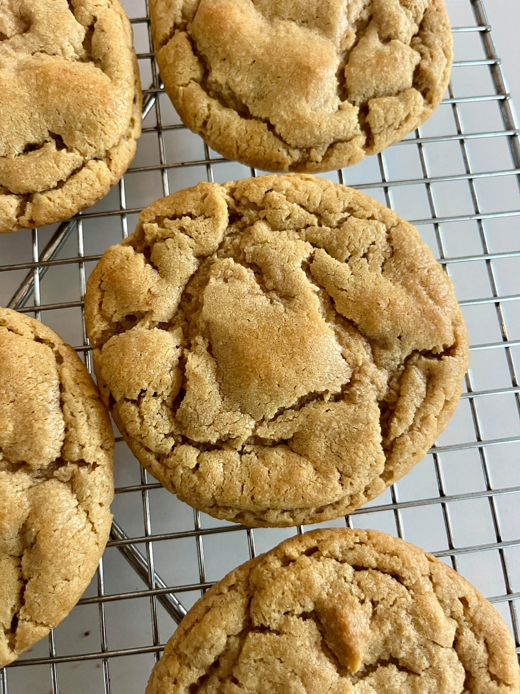 Peanut Butter Cookie