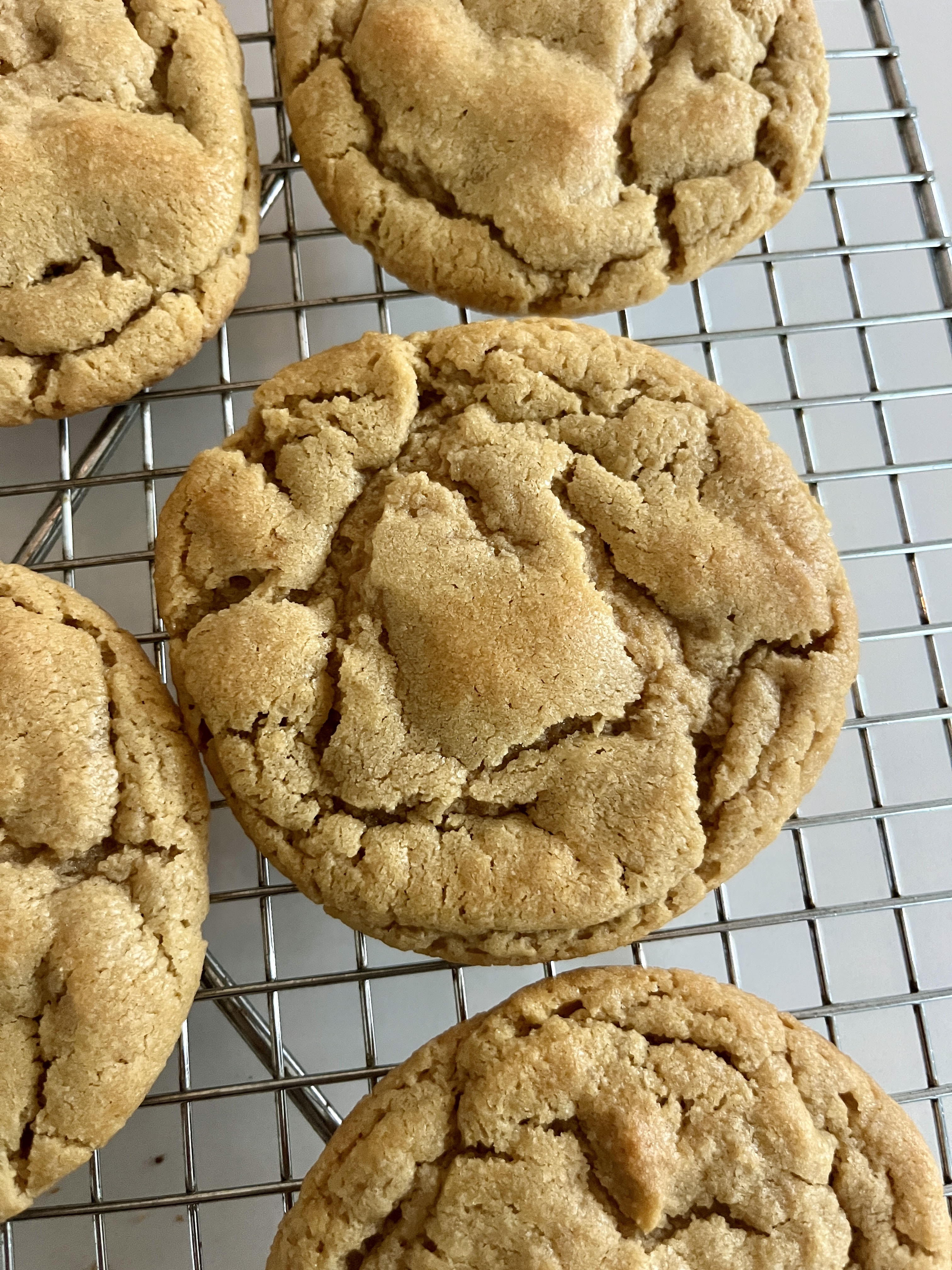 Peanut Butter Cookie