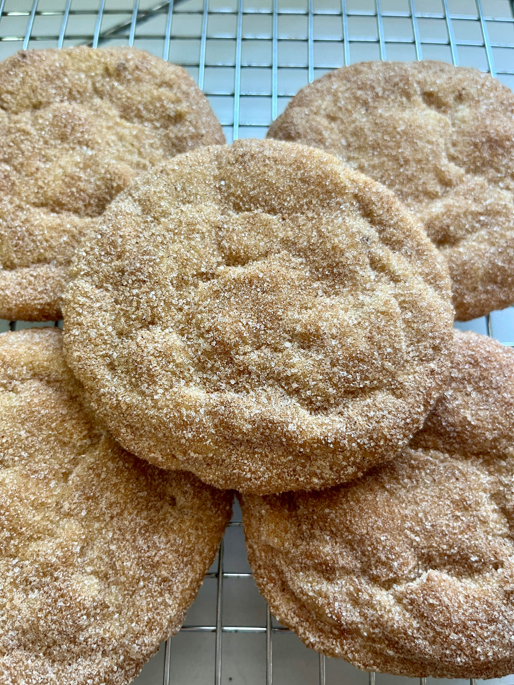Snickerdoodle Cookie