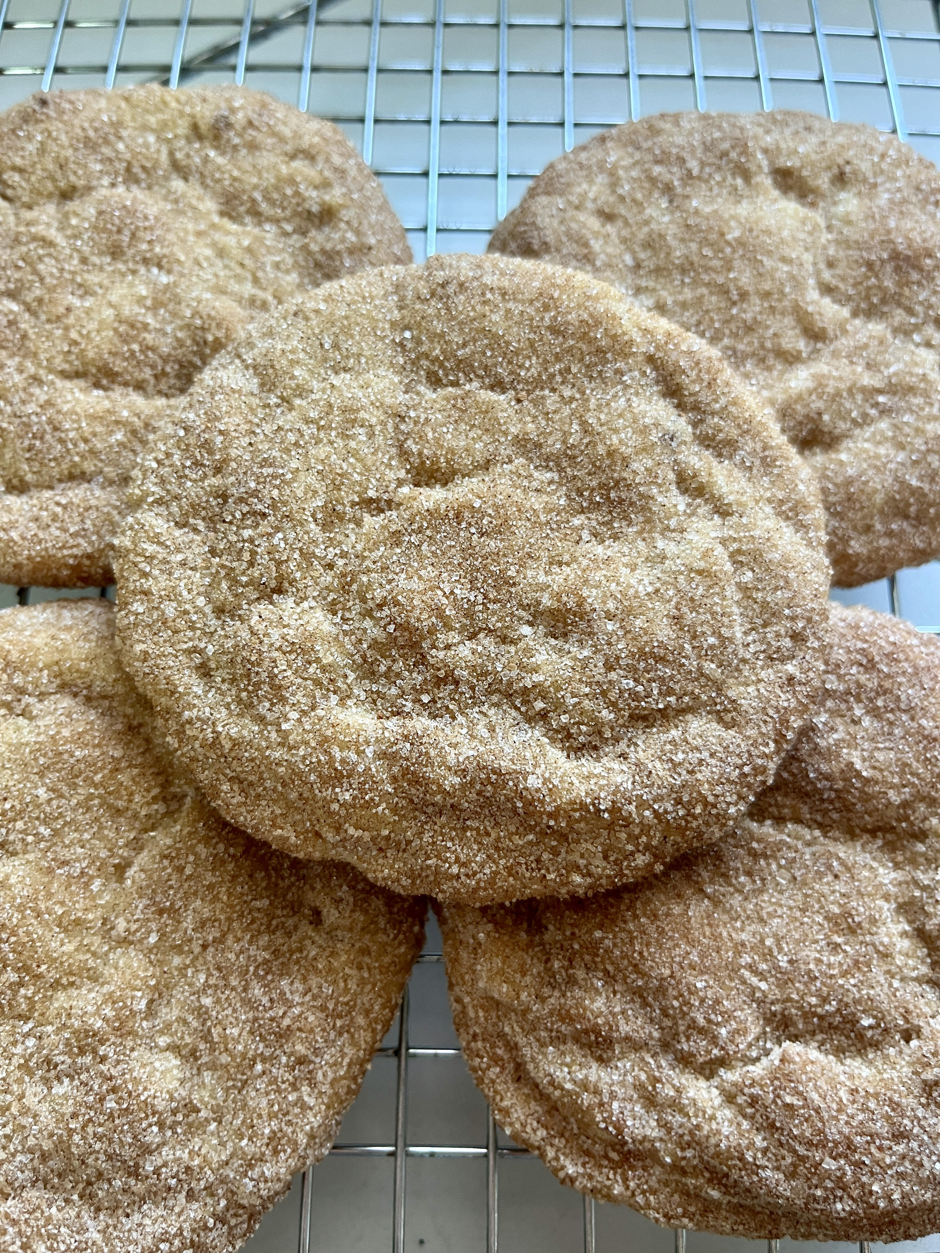 Snickerdoodle Cookie