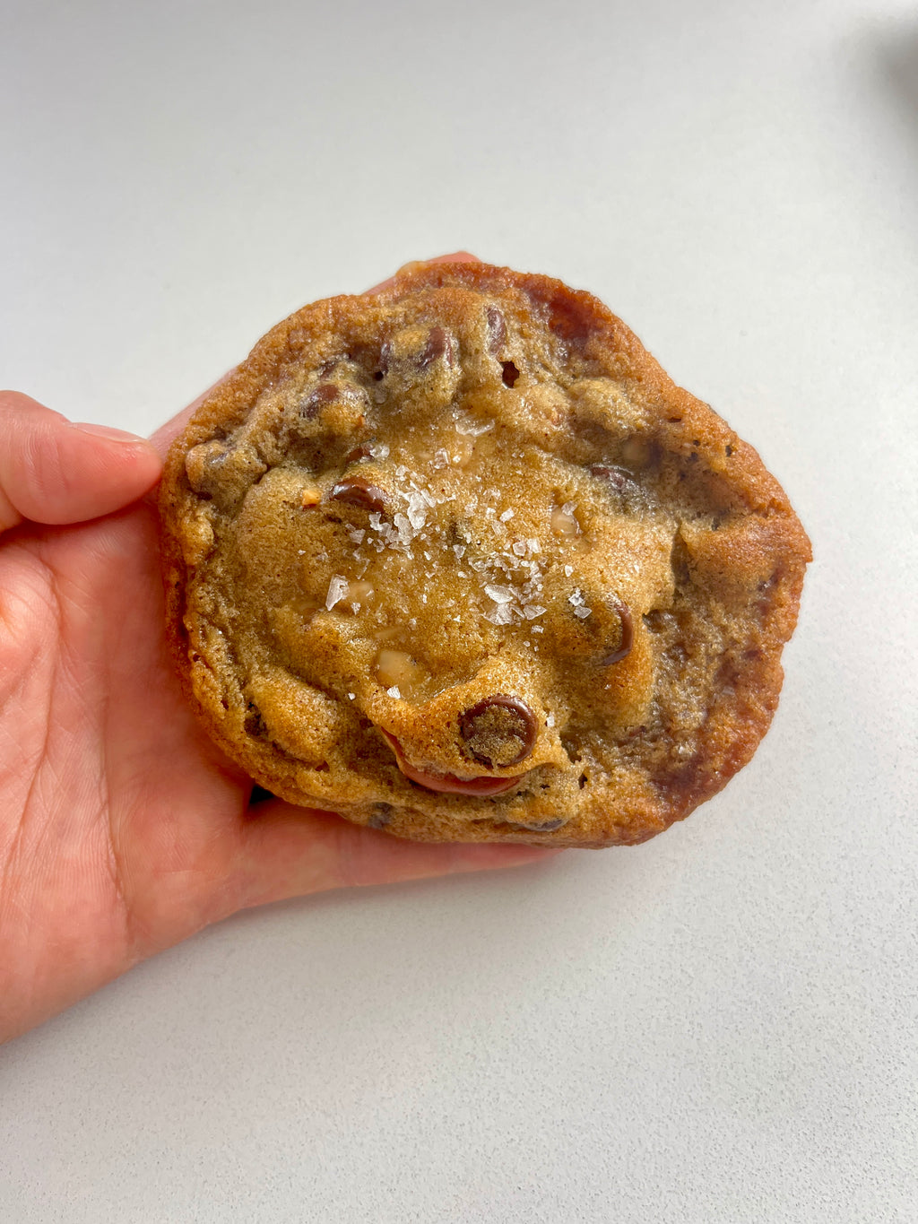 Toffee Pretzel Chocolate Chip Cookie